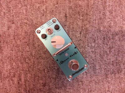 Ocean Verb - Digital reverb pedal | Tom’sline