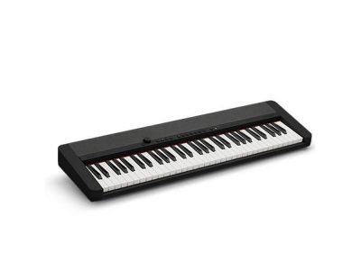 Casiotone Touch Sensitive - 61 Note Keyboard Black | Casio CTS-1