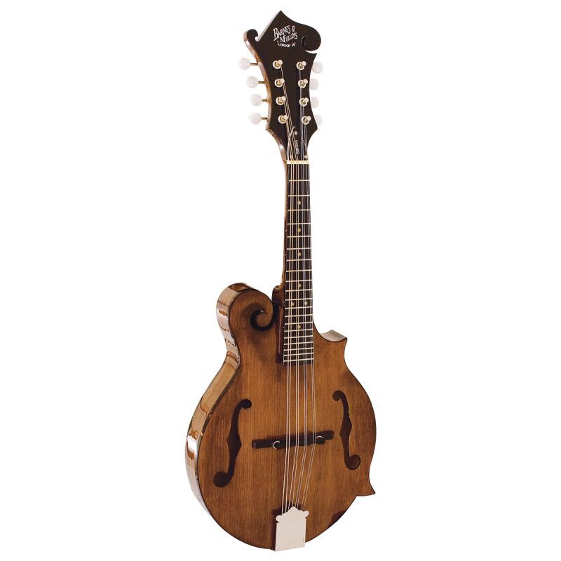 BM650 Salvino Mandolin | Barnes & Mullins