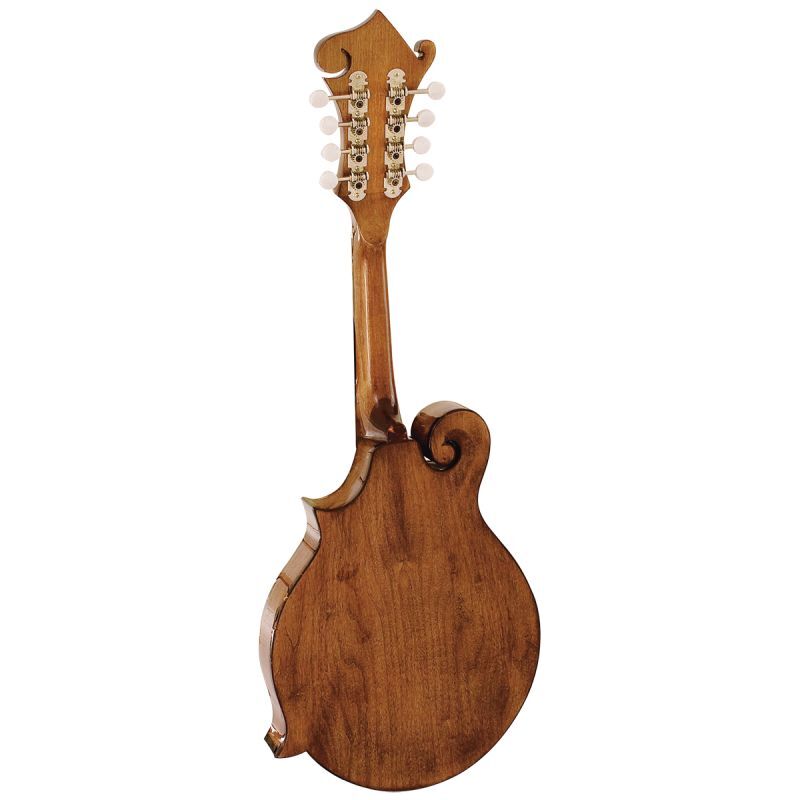 BM650 Salvino Mandolin | Barnes & Mullins - Image 2