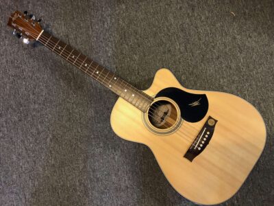 EBG808C Bluegrass -  Acoustic/Electric Guitar | Maton