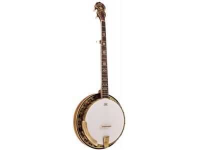 Barnes & Mullins BJ500M Troubadour 5-String Banjo | Barnes & Mullins
