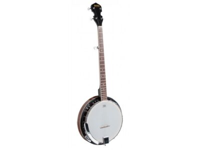 5-String Banjo | Bryden